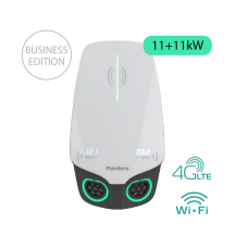 Настенная зарядная станция Pandora Wall-E DUO Business Edition AC 11+11 кВт