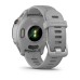 Умные часы Garmin FORERUNNER 255S со светло-серым ремешком