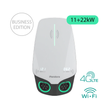 Настенная зарядная станция Pandora Wall-E DUO Business Edition AC 11+22 кВт